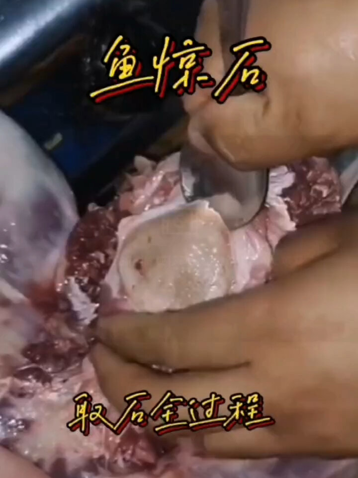 鱼惊石制作全过程您知道吗欢迎高手评论区评论
