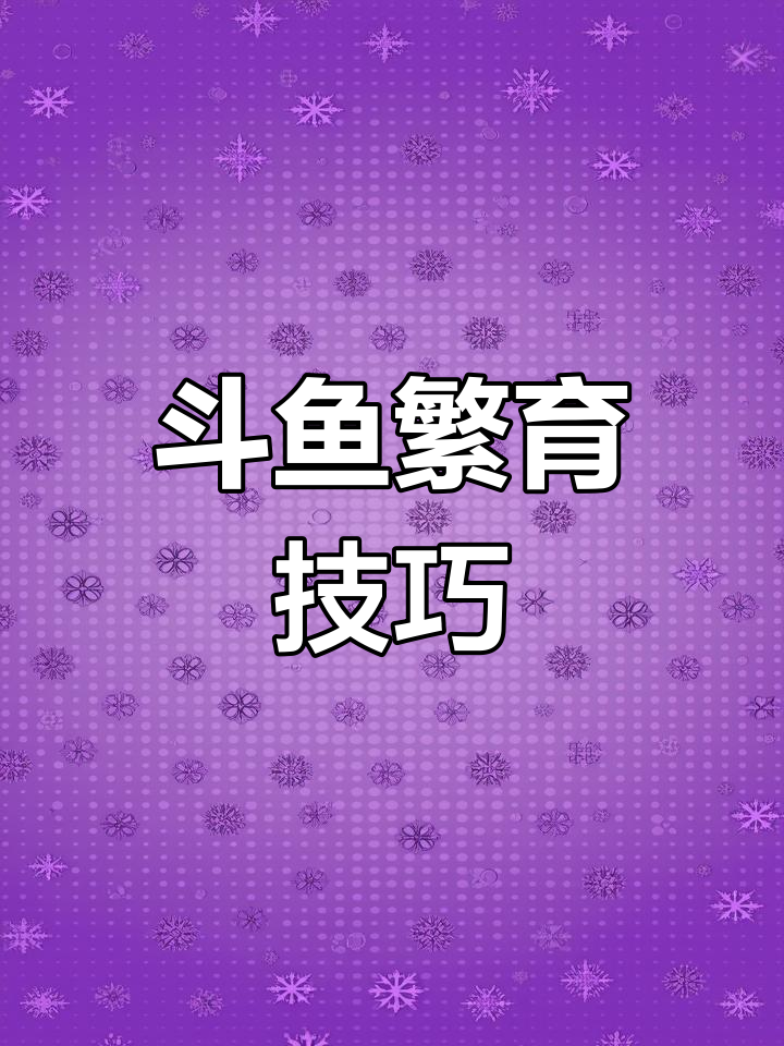 斗鱼繁殖全攻略:如何判断母鱼是否怀孕,公鱼的守护作用揭秘