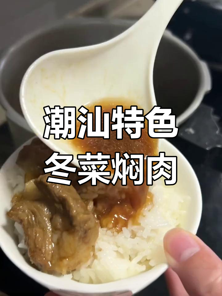 潮汕冬菜焖肉,咸香美味,配饭绝了
