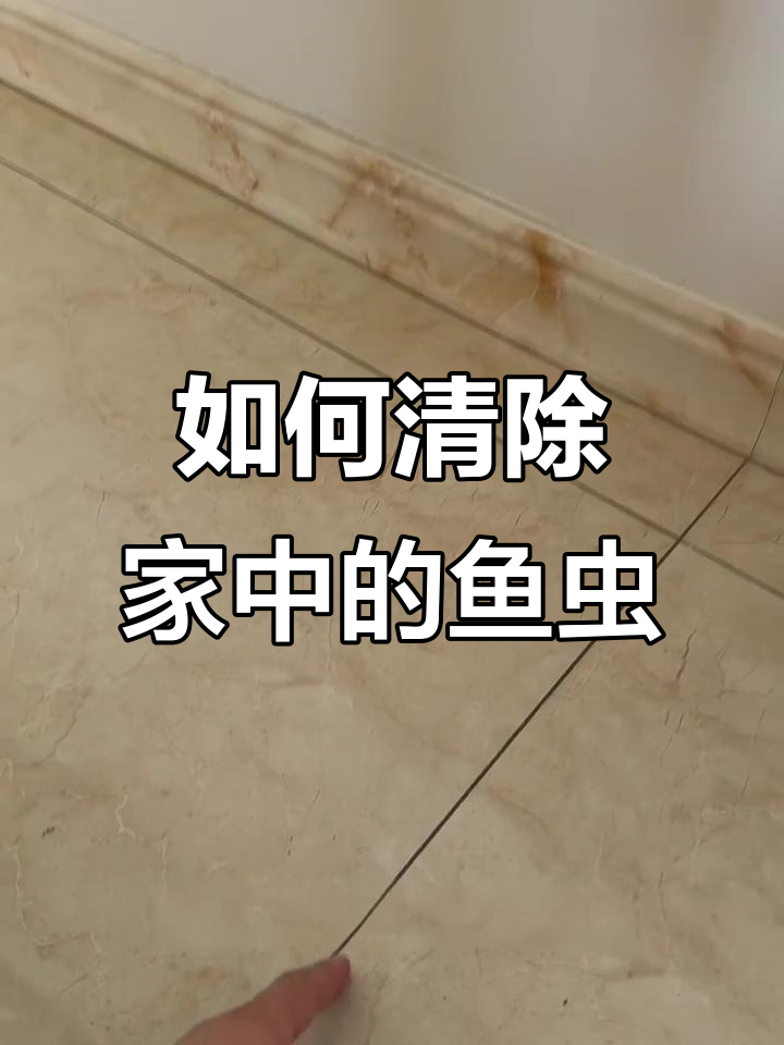 供暖期鱼虫增多?这些角落最容易藏匿!