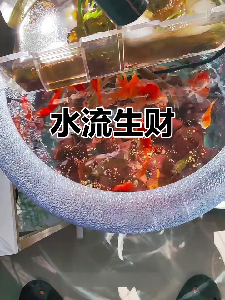 圆形鱼缸聚财,长方形稳定财运,流水设计激活财富流动