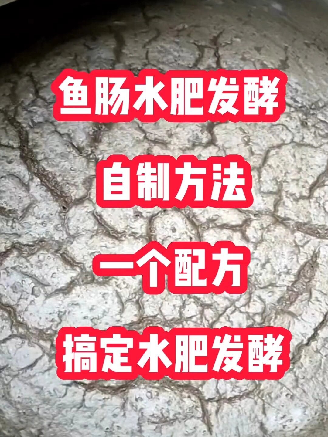鱼肠发酵水肥方法来了,利用好每个有用材料