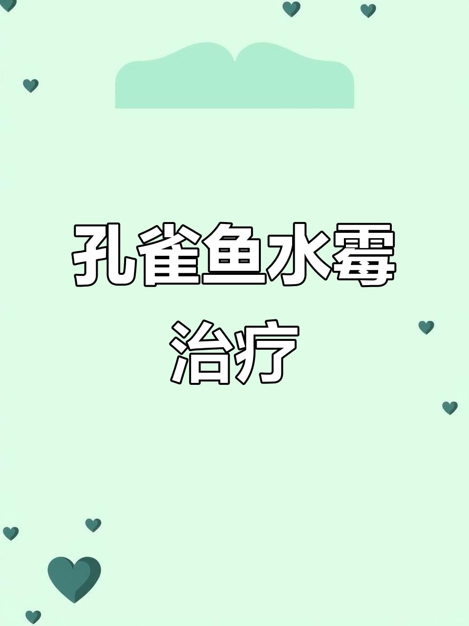 水霉病怎么治?孔雀鱼水霉全攻略