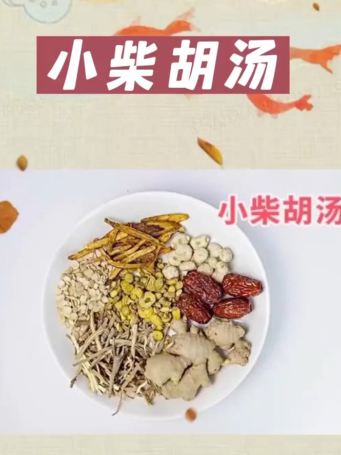 小柴胡汤配方-倪海厦 中医