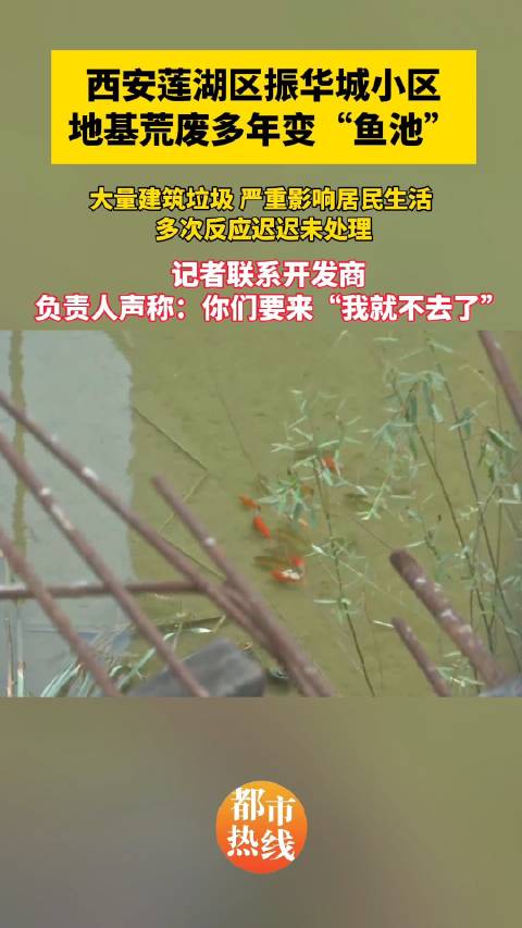 「匪夷所思!西安一小区地基荒废变鱼池」据西安市莲湖区振华城小区业主反映,小区内一处搁置已久