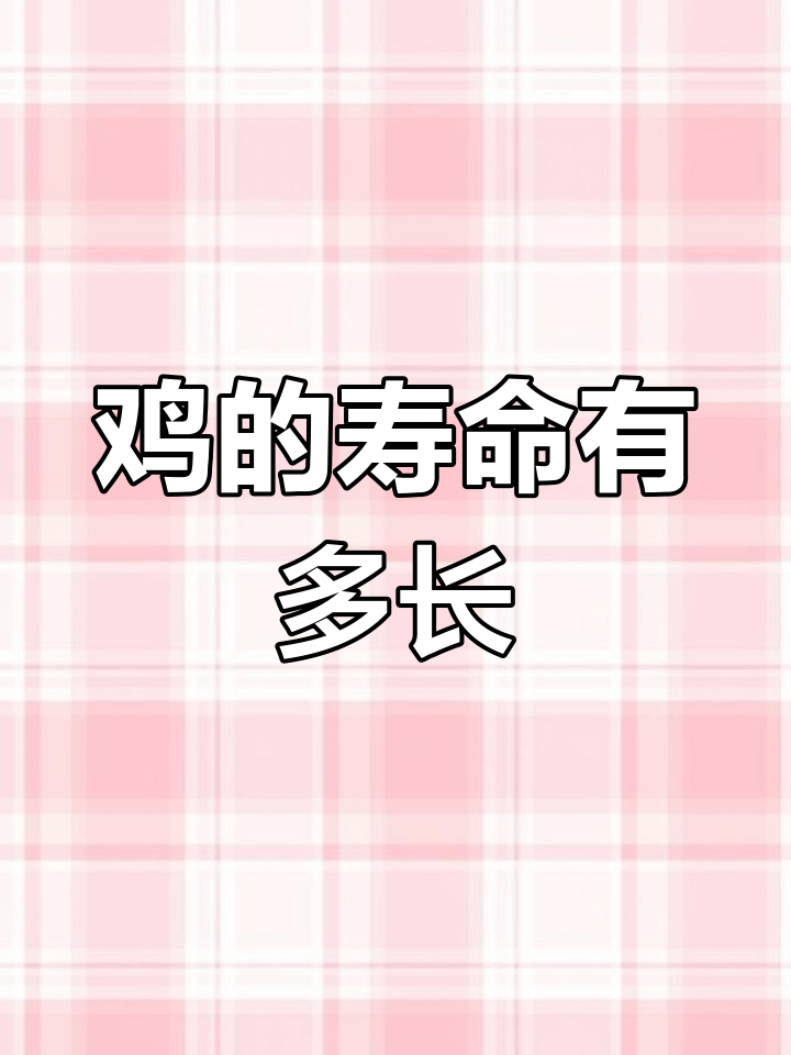 如果人类不吃鸡,一只公母寿命能延长多少?