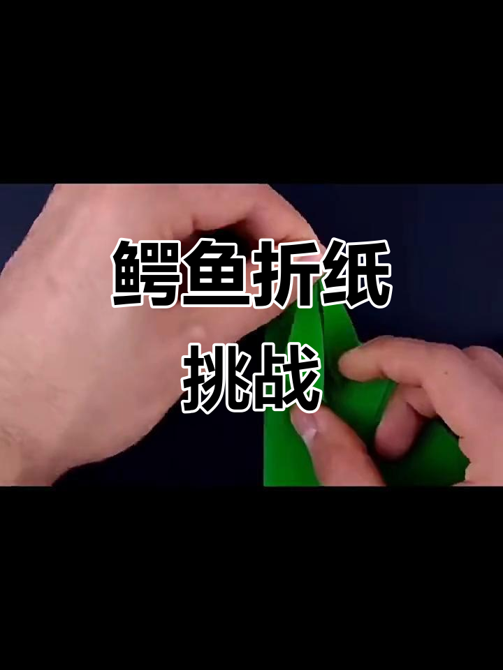 慢速折纸挑战,鳄鱼也能轻松搞定!