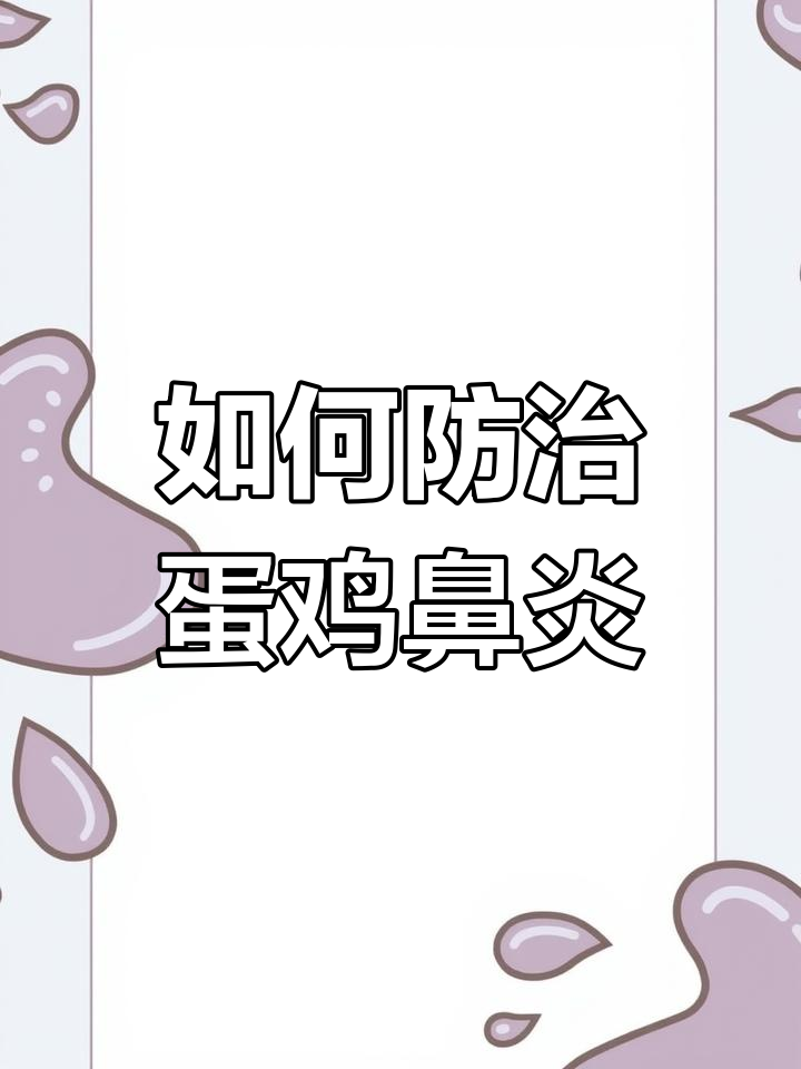 蛋鸡鼻炎高发期,如何应对和治疗?