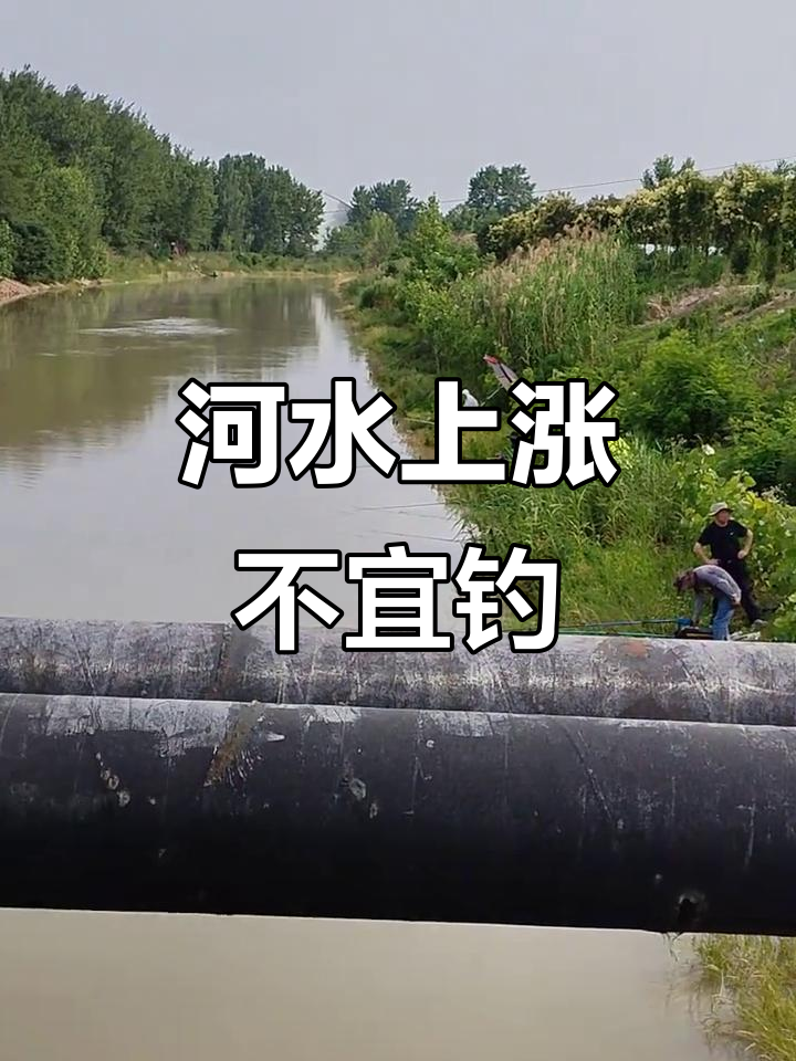 三干河流量大增,水位高浑浊,钓鱼不太合适,建议休息两天