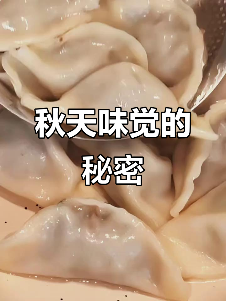 羊肉茴香饺子,秋天的味道包进馅里