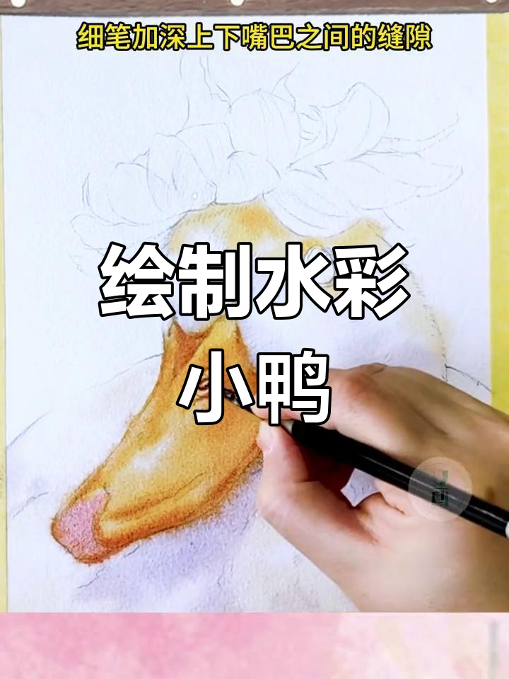 水彩画小鸭子教程,轻松掌握毛绒感