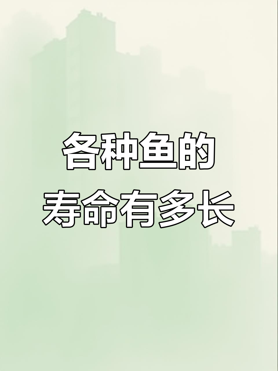 常见鱼类寿命大揭秘,哪种鱼最能活得久?