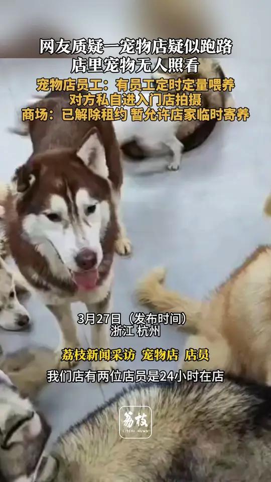 「网友质疑一宠物店跑路 店里宠物无人照看 宠物店员工:有员工定时定量喂养 对方私自进入门店