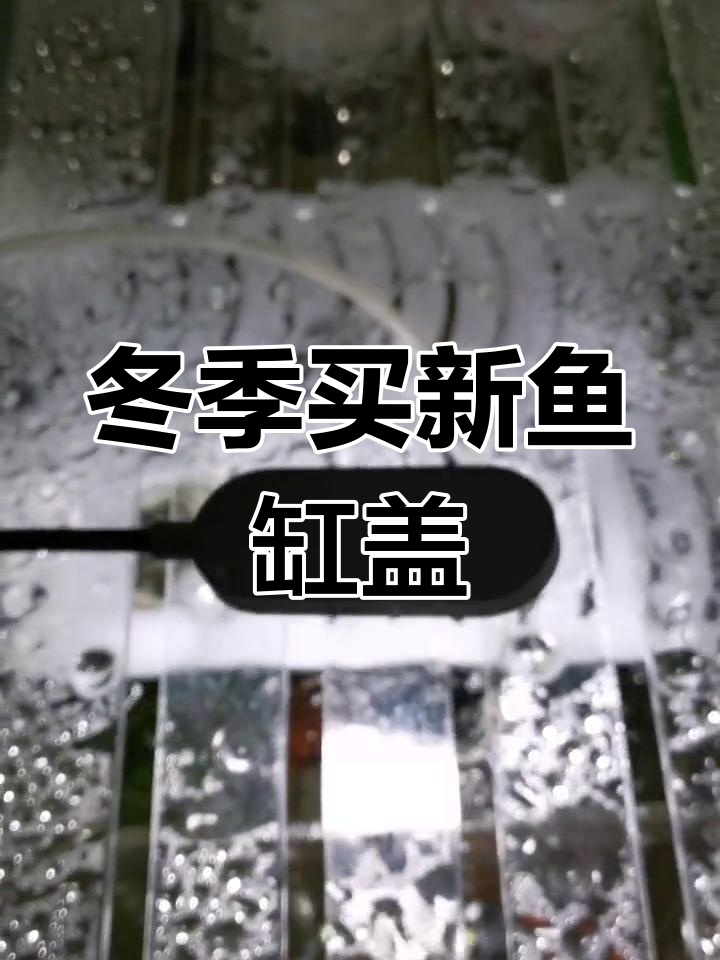 新鱼缸盖省电又实用