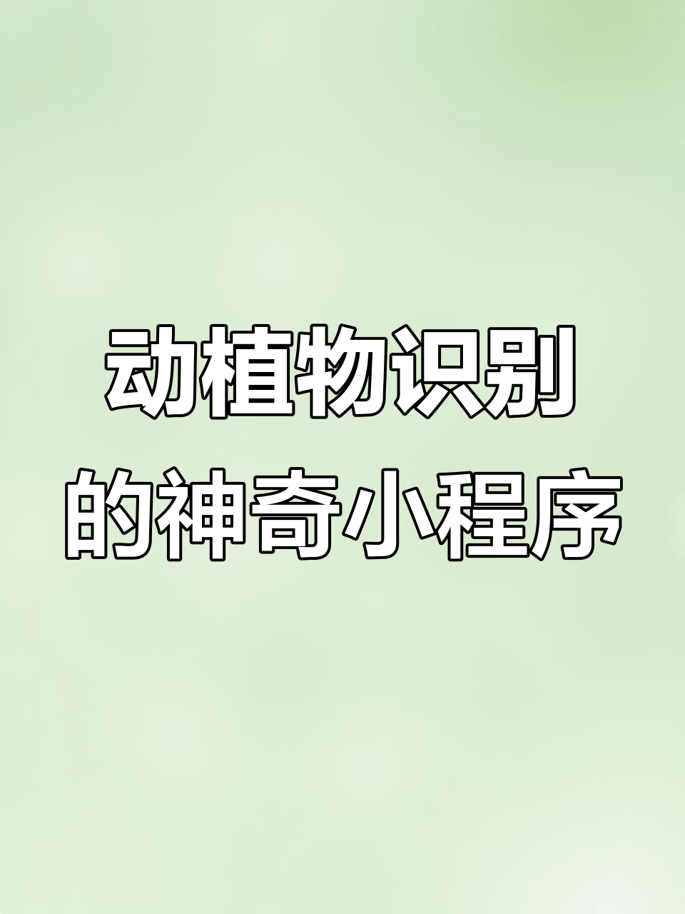 拍照或上传图片,轻松识别动植物并生成专属图鉴