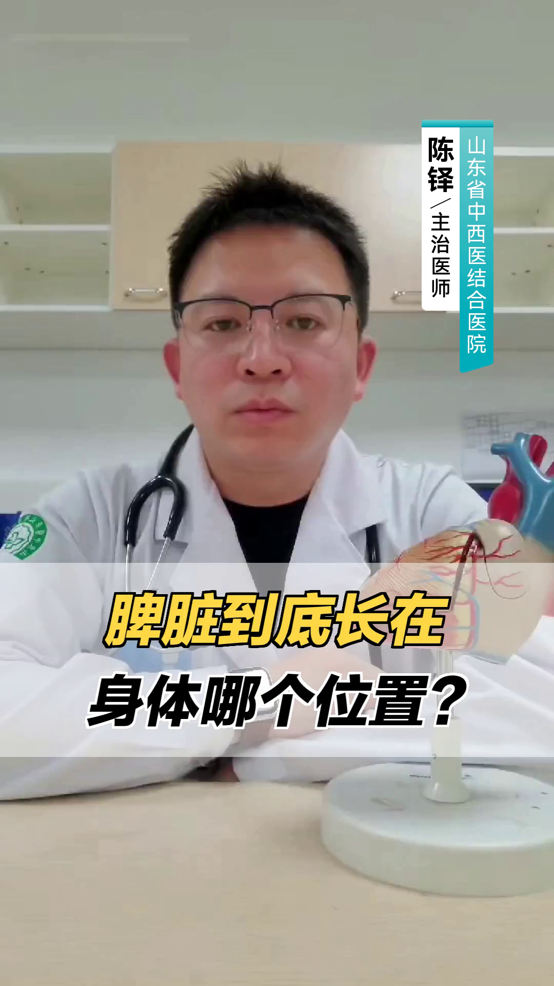 脾脏到底长在身体哪个位置?