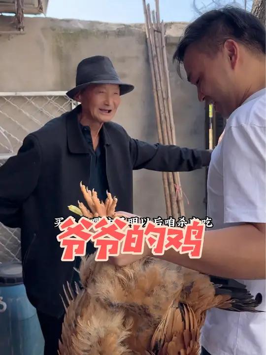 我们姊妹几个一回来爷爷家的鸡就遭殃,去年真是吃了不少,今年爷爷买的小鸡都没养成。今天去街上