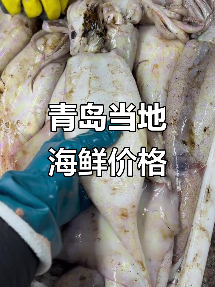 12月青岛海鲜大揭秘:野生大虾、安康鱼等超值美味