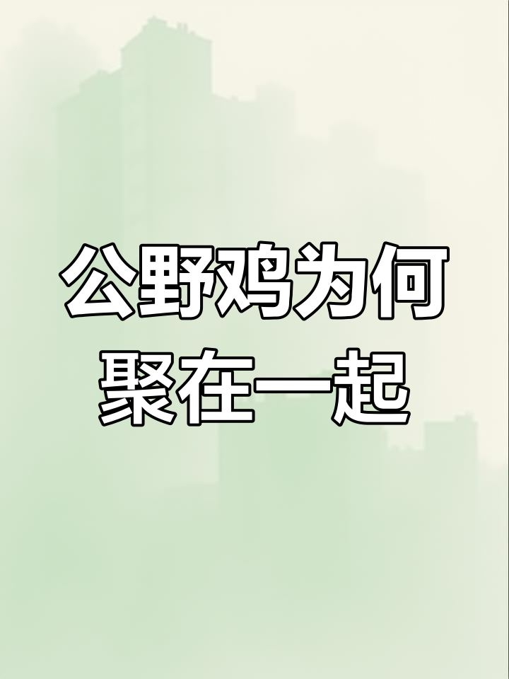 为什么秋天公野鸡成群结队?揭秘它们的生存策略