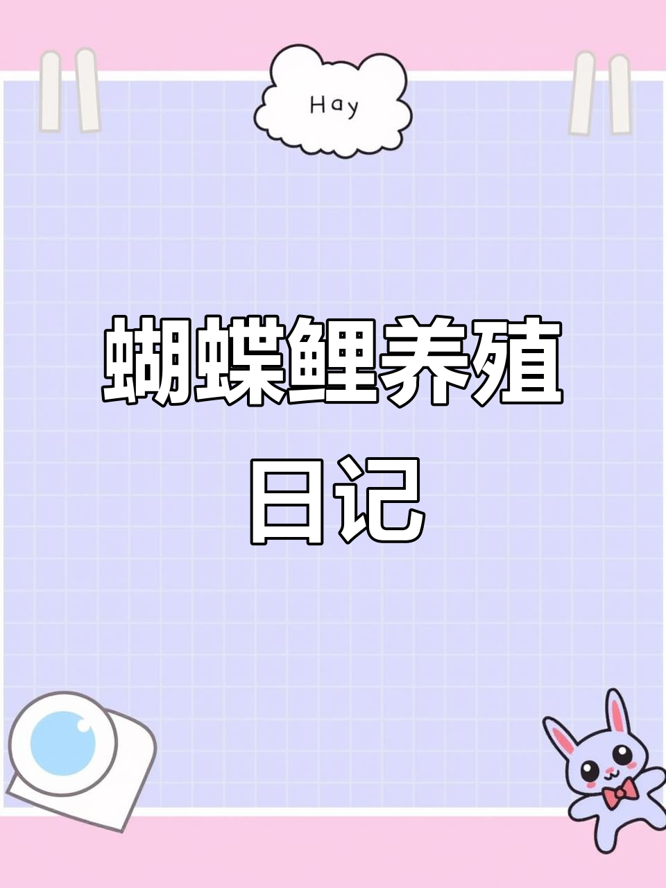 蝴蝶鲤成长记:从小苗到成鱼,见证它们蜕变的过程