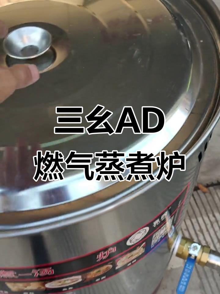 节能蒸煮炉,卤水炖汤一应俱全