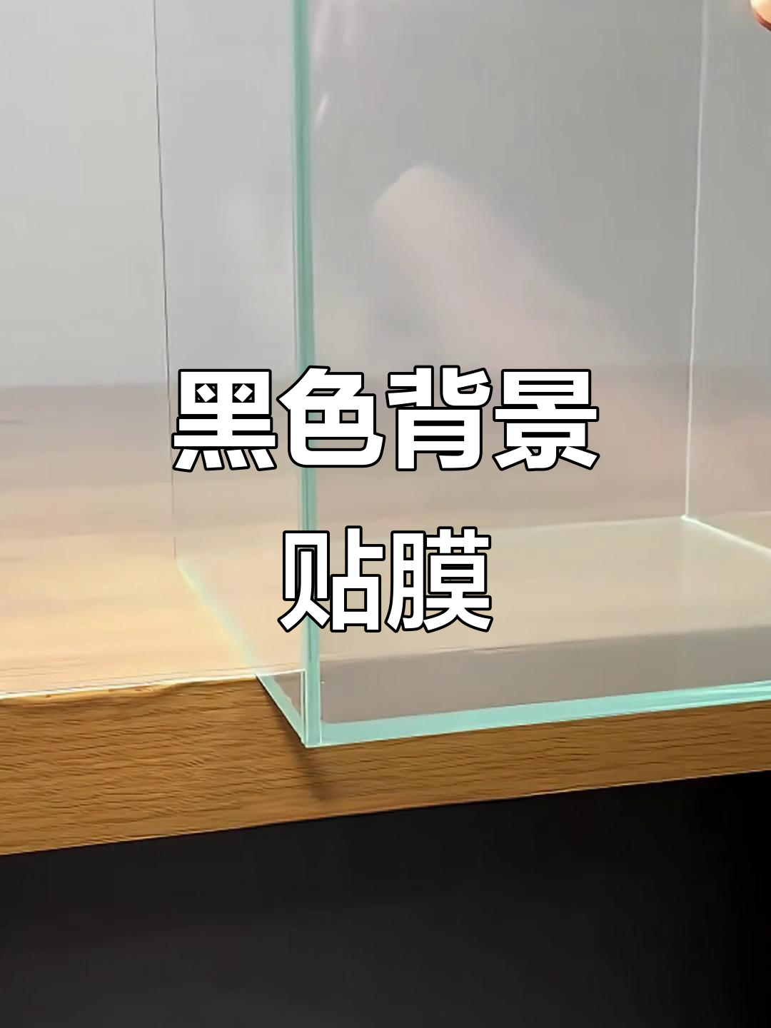 黑色鱼缸贴纸,瞬间提升氛围感,赶紧试试吧!
