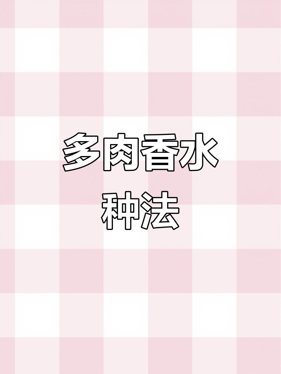 香水多肉种植技巧:从晾干到上盆全攻略