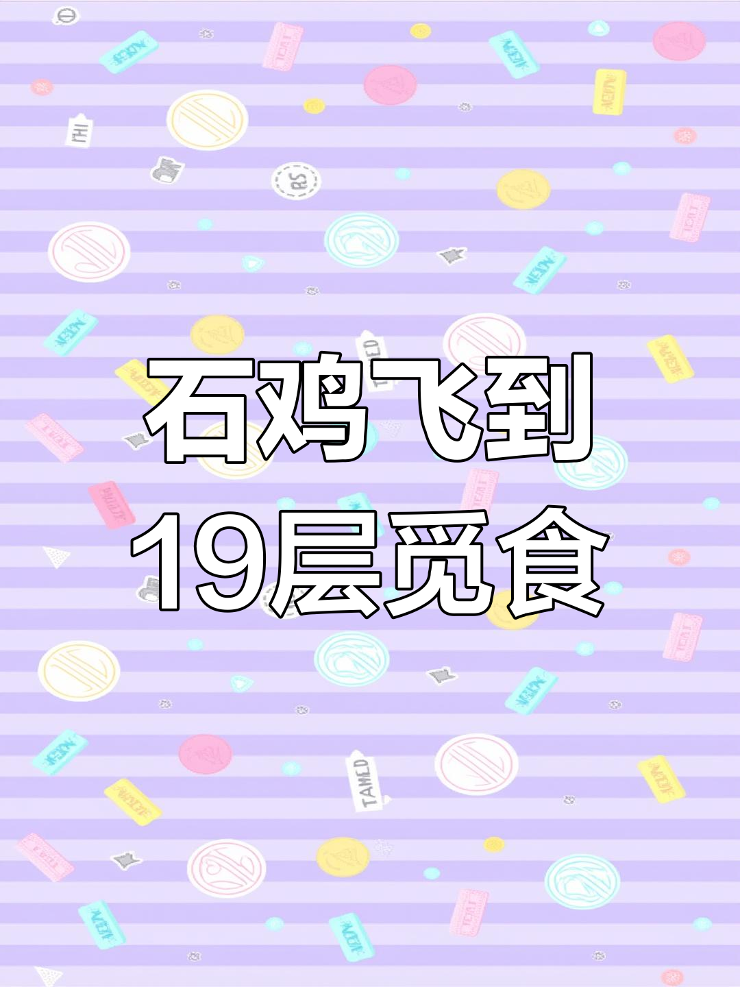 乌鲁木齐19层楼现野生石鸡觅食,天亮飞走