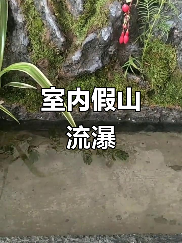 室内假山瀑布,青苔与流水带来清新空气