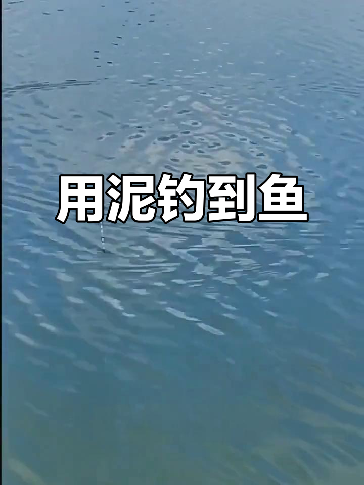 泥巴钓鱼挑战:鱼真的会吃泥吗?