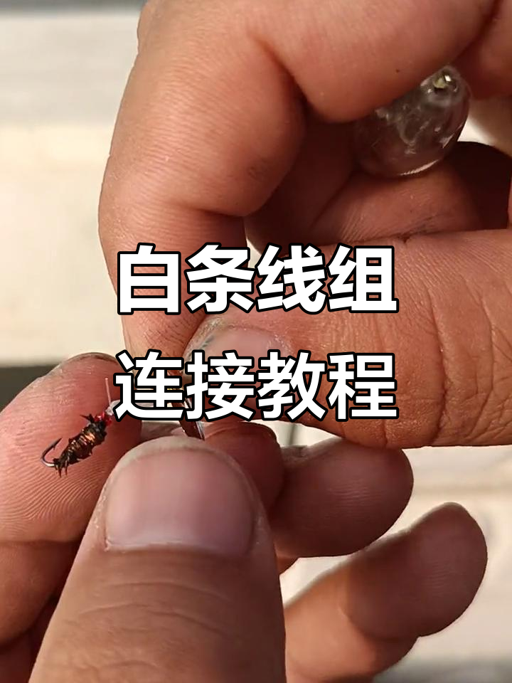 飞蝇亮片线组组装技巧,轻松掌握钓鱼装备