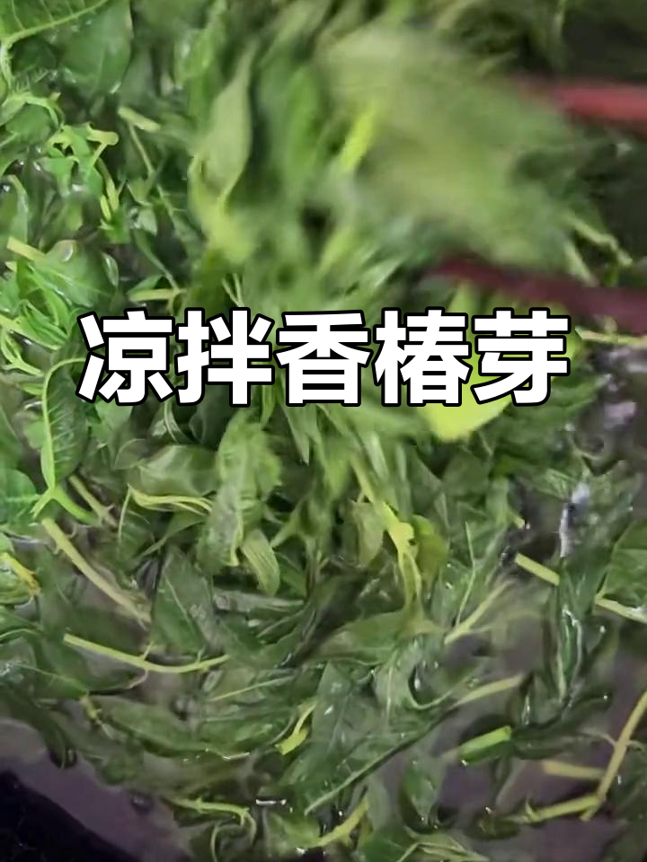 凉拌香椿芽,简单又美味,脆嫩爽口!
