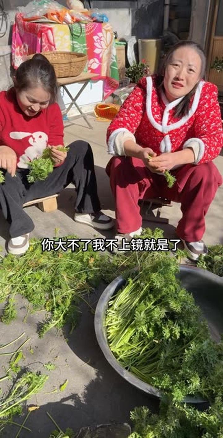 今日美食之糊辣菜英子，独特风味不容错过