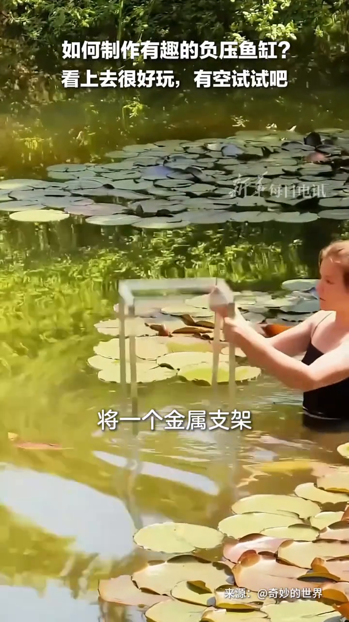 如何制作有趣的负压鱼缸?