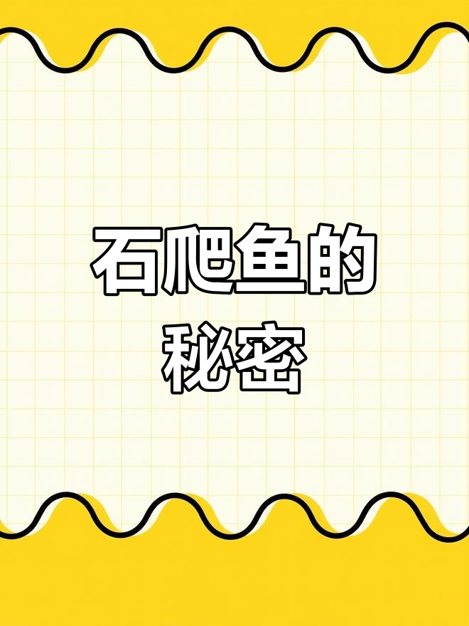 急流中吸石头的神秘石爬鱼,见过吗?
