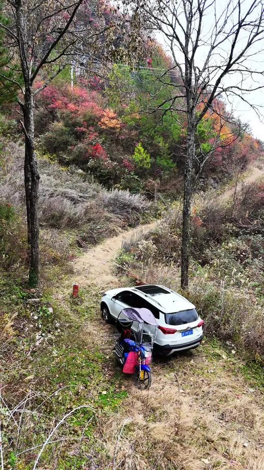 再次回到家乡，路上的野草已枯萎，只看到漫山遍野的红叶……真是太美了！