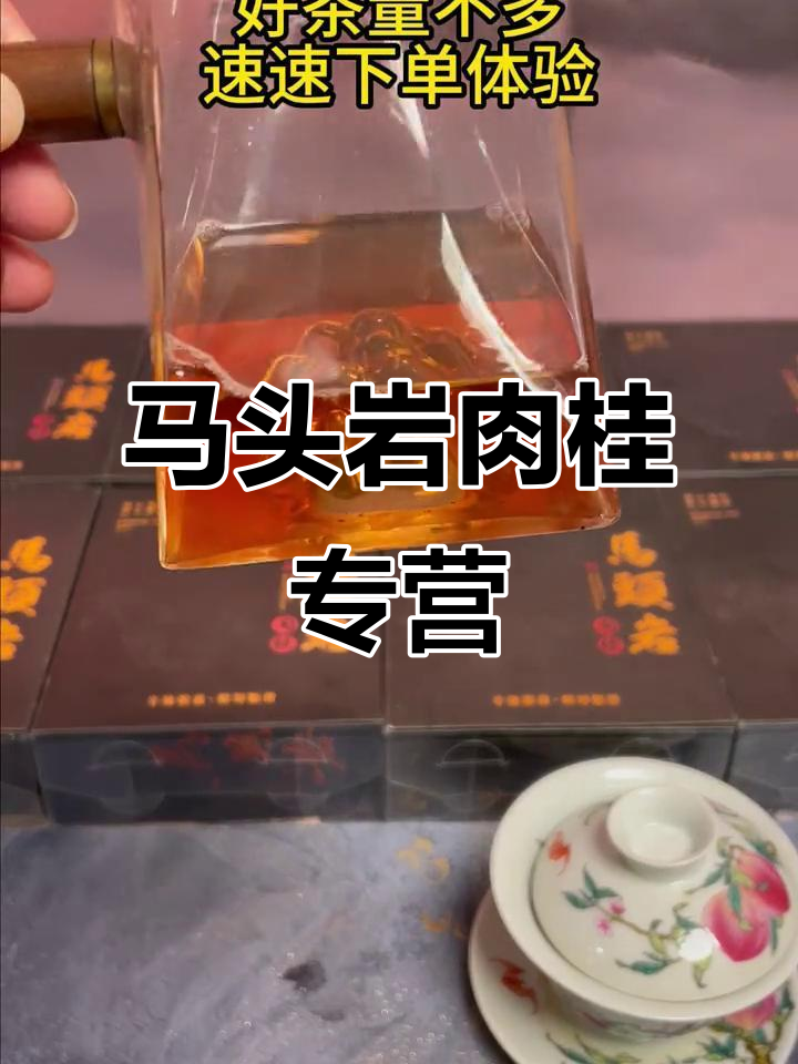 专注马头岩肉桂,武夷岩茶的独特魅力