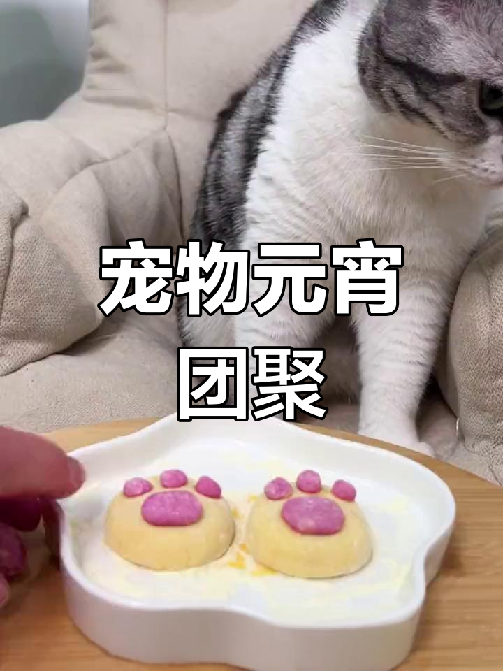 元宵节到,做猫爪汤圆,愿爱与团圆常伴!