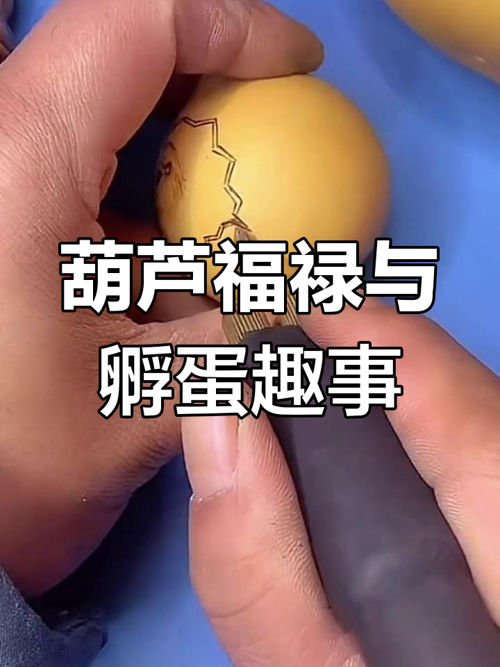 葫芦烙画技艺大揭秘，孵化小鸡的趣味瞬间