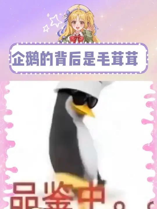 企鹅的背后是什么 是毛茸茸