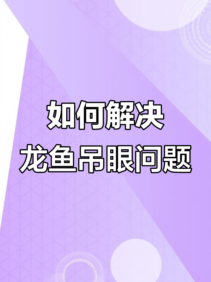 龙鱼掉眼怎么办?调整灯光和饲料投喂技巧