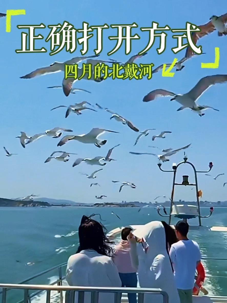 到北戴河旅游,四月份的正确打开方式 四月份到北戴河,你应该知道的正确打开方式!带你去看海 