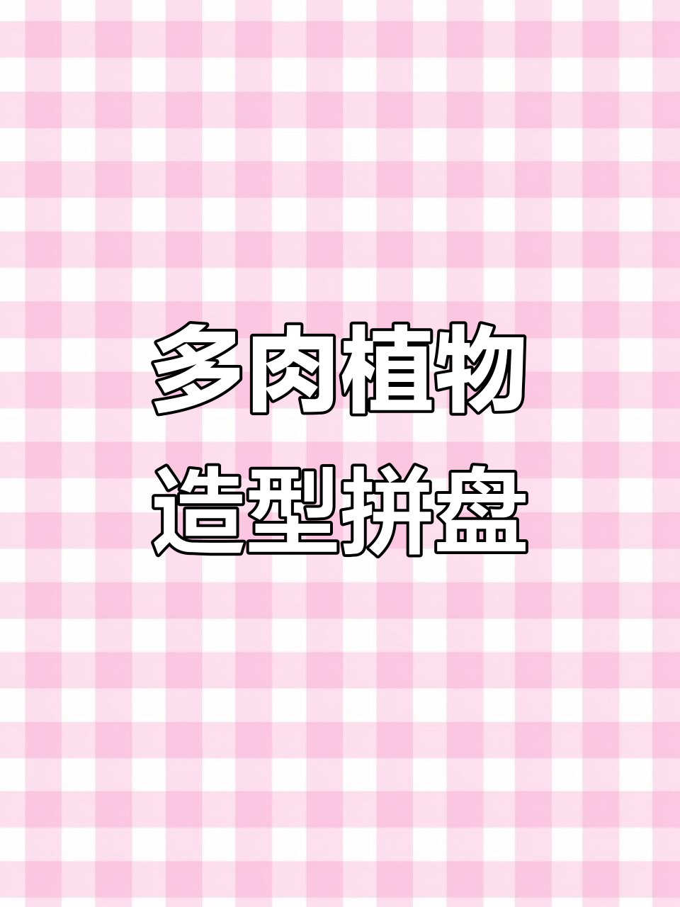 九尾狐吊兰拼盘,仙人掌与多肉植物的完美结合