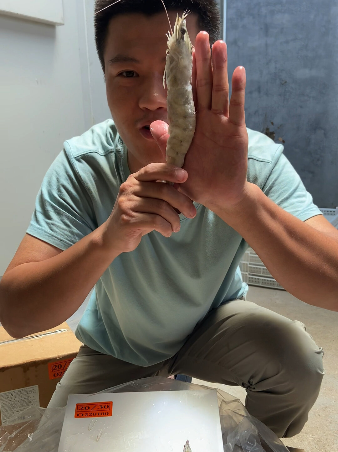 超级大海虾
