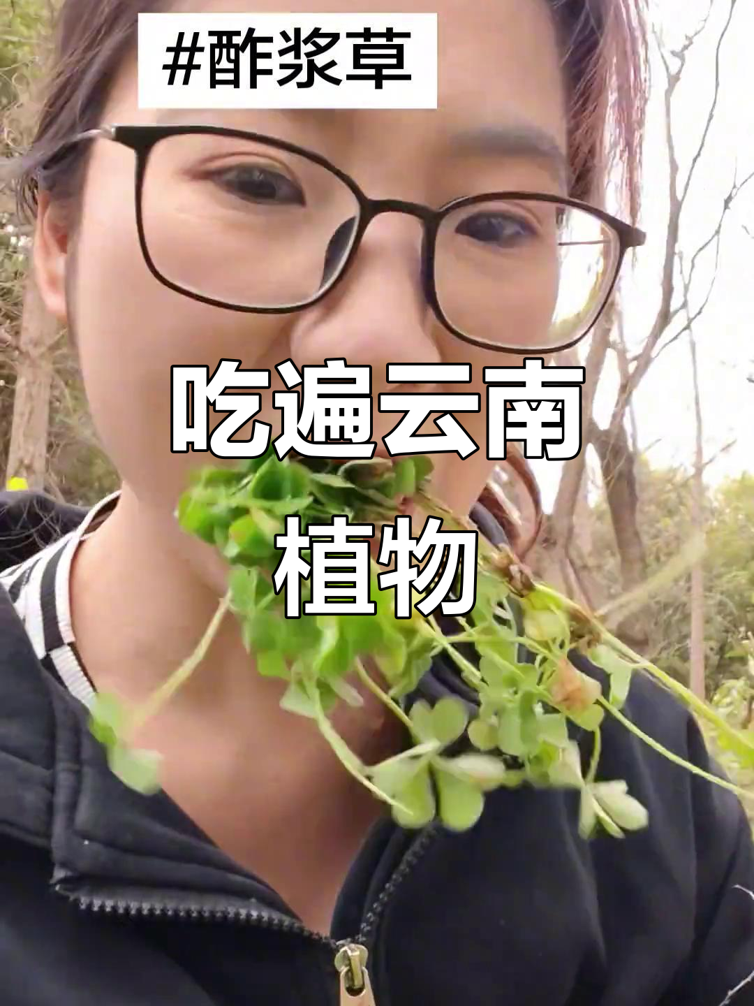 挑战云南植物大餐,醋酱菜口感如何?