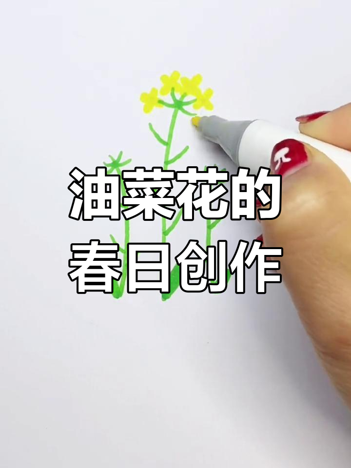 春天里的油菜花,简单几步画出来