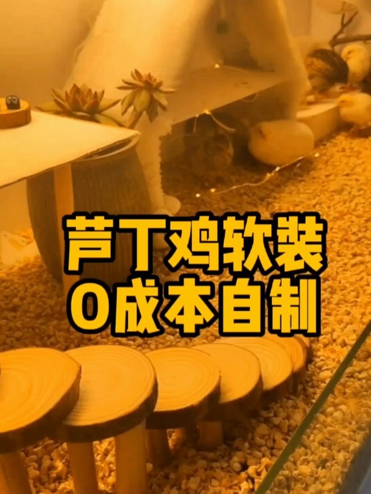 芦丁鸡窝,自制