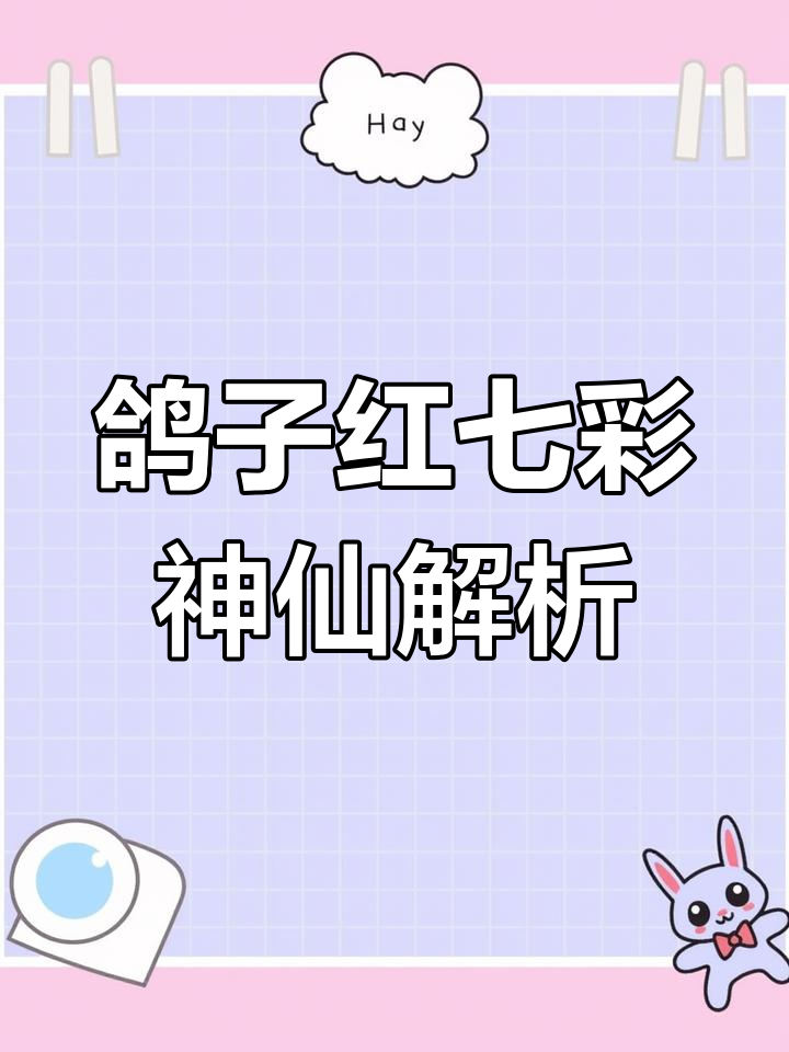 鸽子红七彩神仙鱼的独特魅力:从黑鲨到血红色眼睛的蜕变