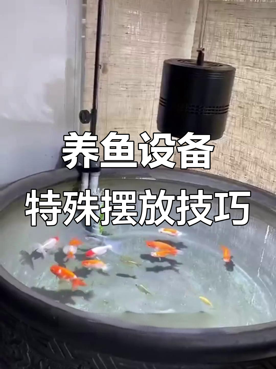 阳台鱼盆过滤箱巧妙摆放，空间利用最大化