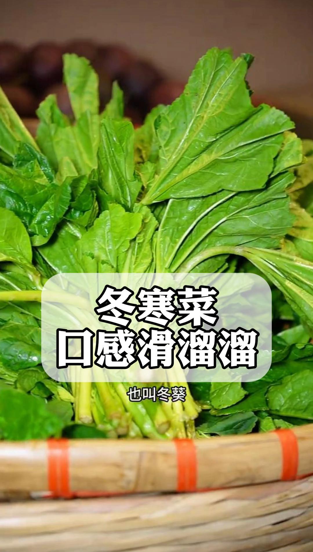 冬寒菜,口感滑溜溜